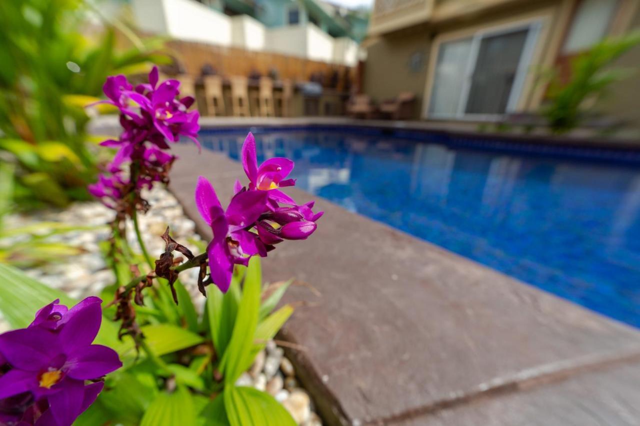 Studio With Mini Kitchen, Pool And Bbq, Pre-Renovation Summer Sale Кихей Экстерьер фото